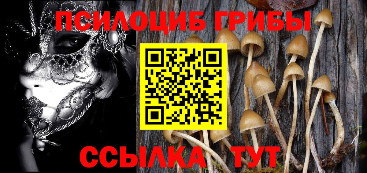 Нижневартовск  Галлюциногенные грибы MAGIC MUSHROOMS  Псилоцибиновые грибы Cubensis  Вход с VPN 