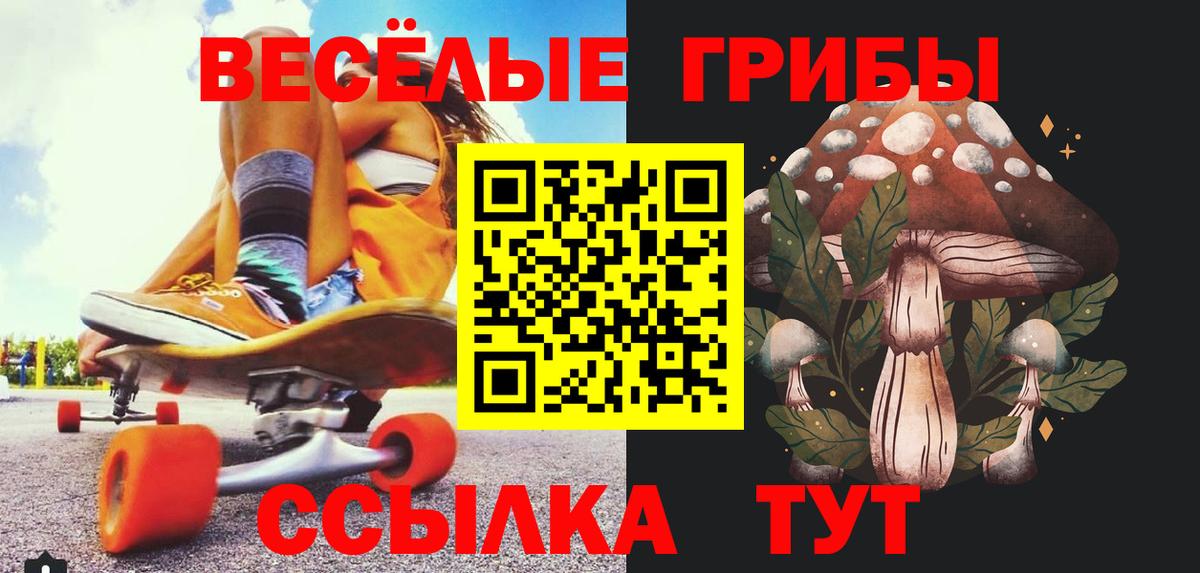 Псилоцибиновые грибы мицелий Нижневартовск